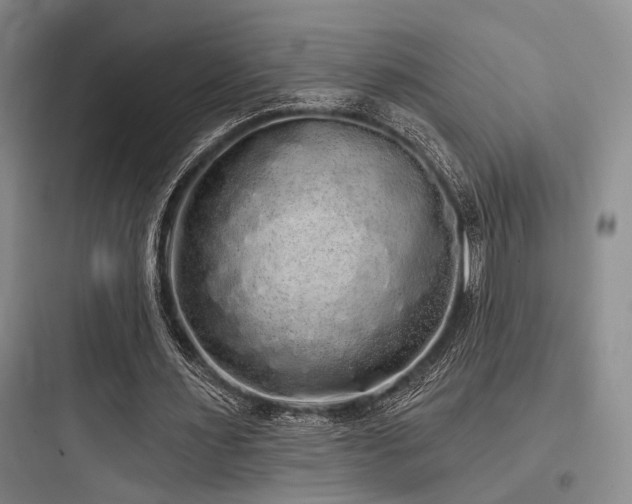 X0000097990483200803241345