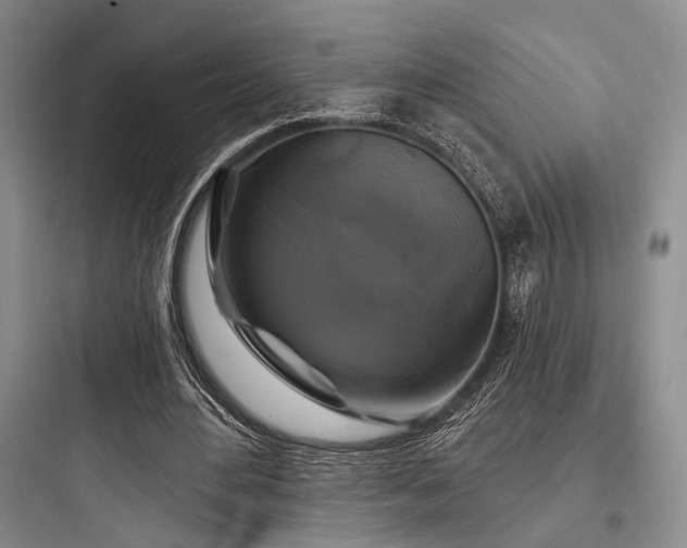 X0000097990484200803241345
