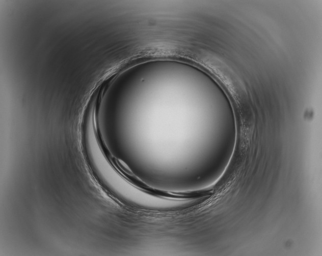 X0000097990485200803241345