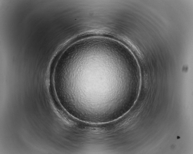 X0000097990486200803241345