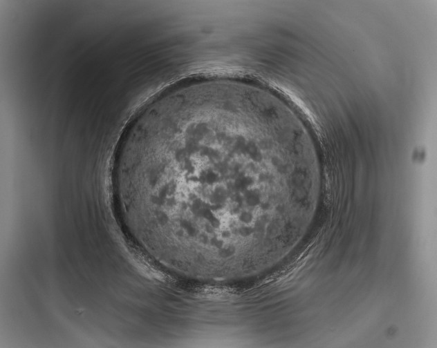 X0000097990487200803241345
