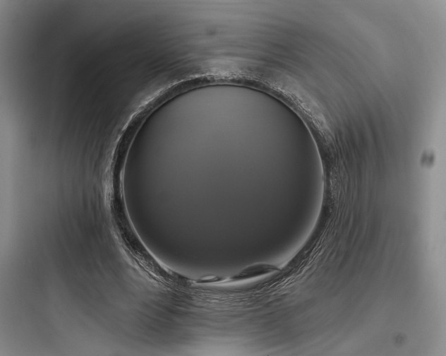 X0000097990488200803241345