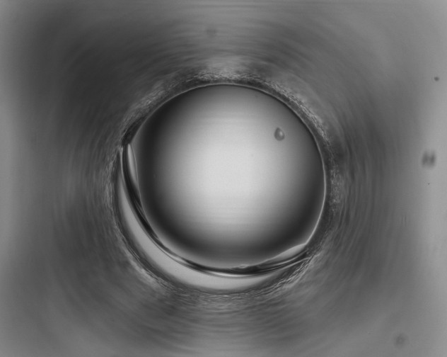 X0000097990489200803241344