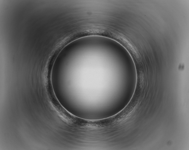 X0000097990490200803241344