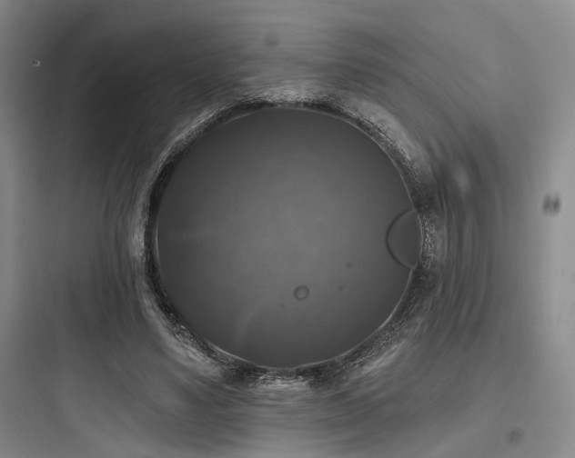 X0000097990491200803241344