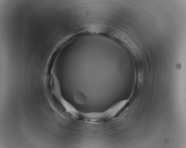X0000097990492200803241344