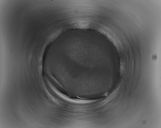 X0000097990493200803241344
