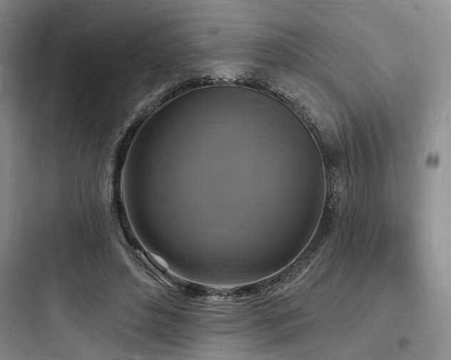 X0000097990496200803241344