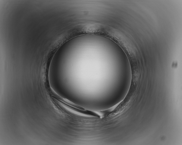X0000097990497200803241344