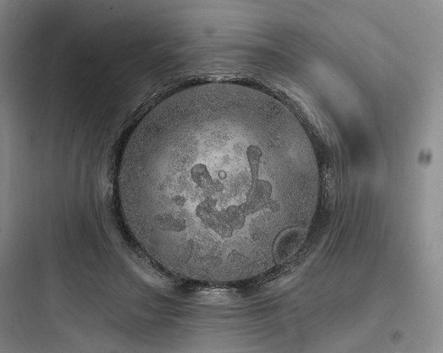 X0000097990499200803241344
