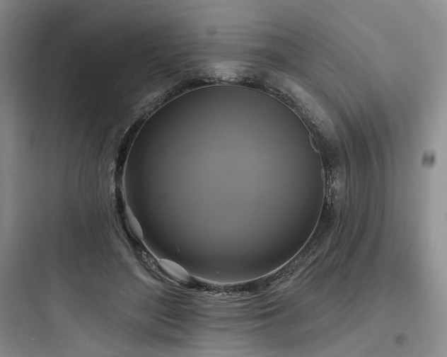 X0000097990500200803241344