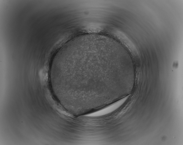 X0000097990501200803241344