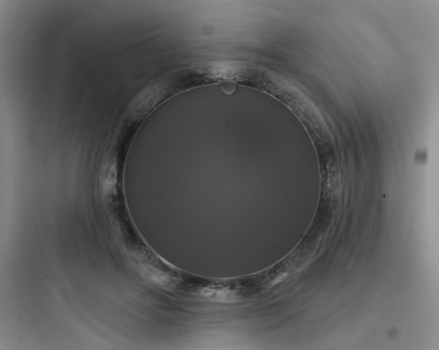 X0000097990502200803241344