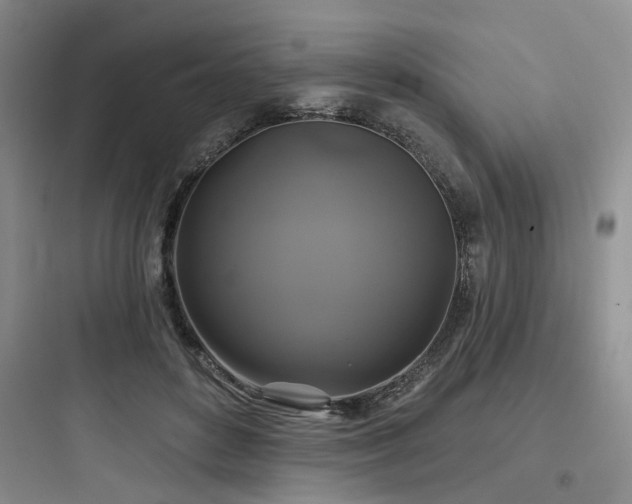 X0000097990504200803241344