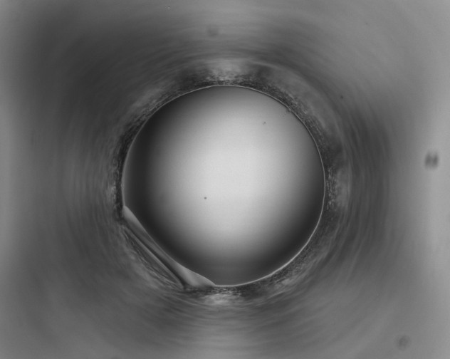 X0000097990505200803241344
