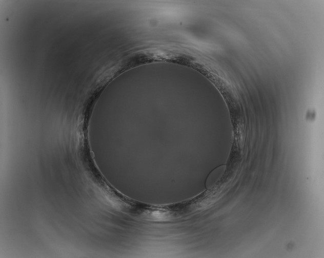 X0000097990506200803241344