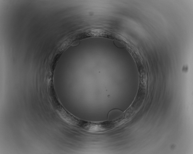 X0000097990507200803241344