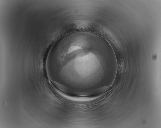 X0000097990508200803241344