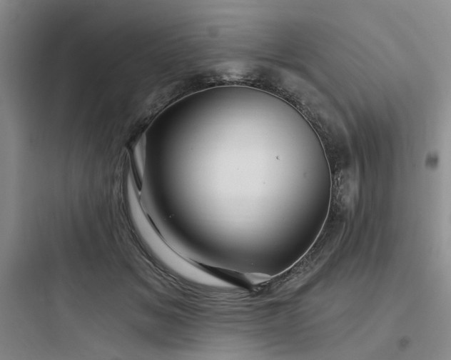 X0000097990509200803241344