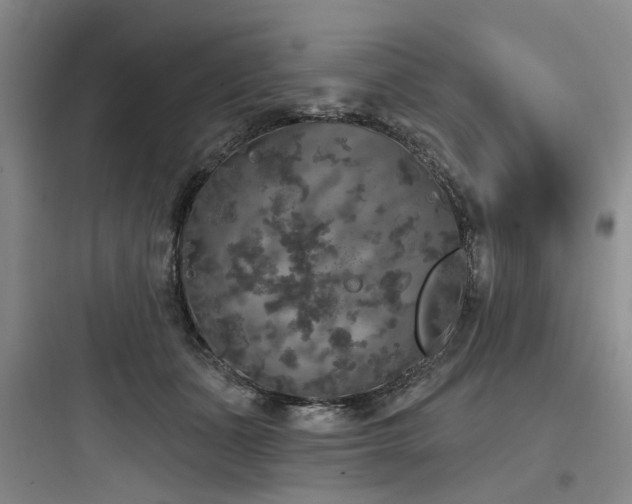 X0000097990511200803241344
