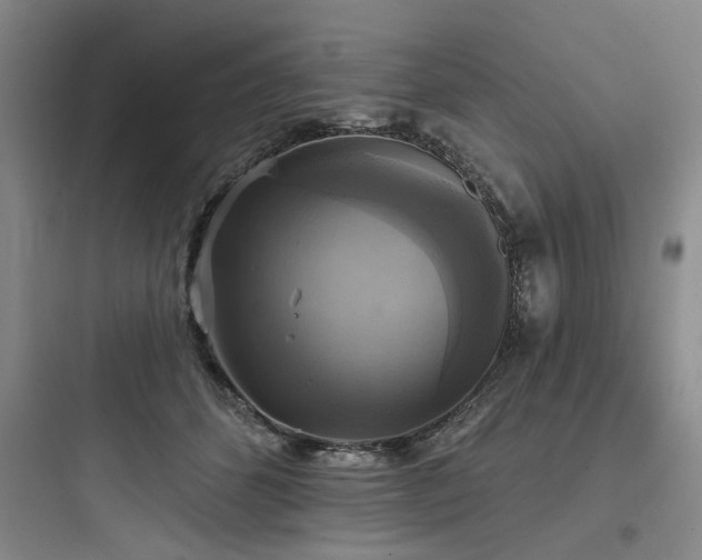 X0000097990512200803241344