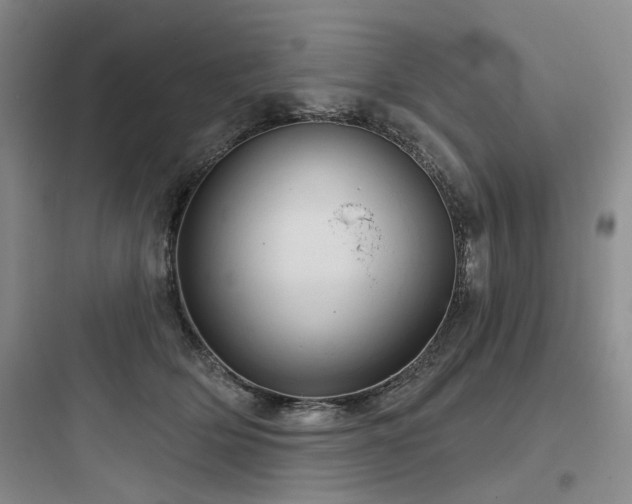 X0000097990514200803241344