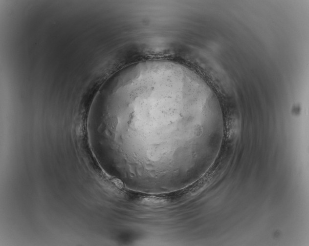 X0000097990515200803241344