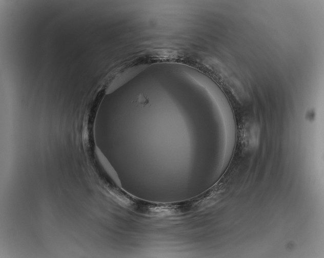 X0000097990516200803241344