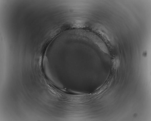X0000097990517200803241344