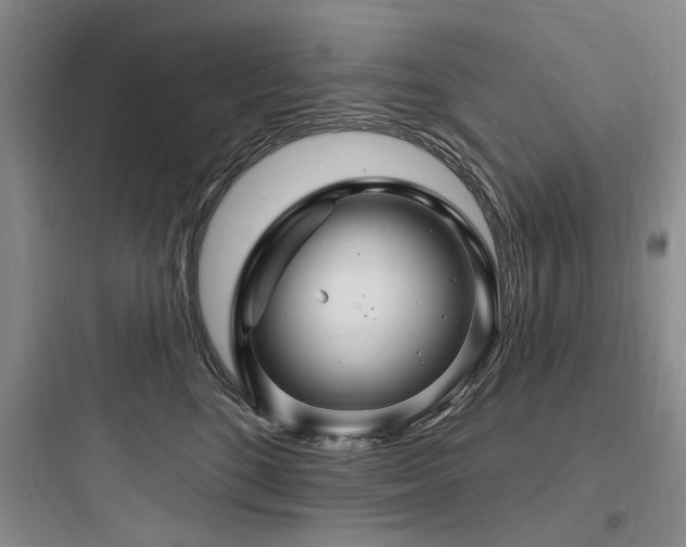 X0000097990520200803241344