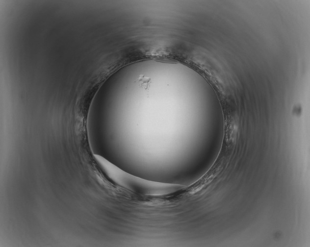 X0000097990521200803241344
