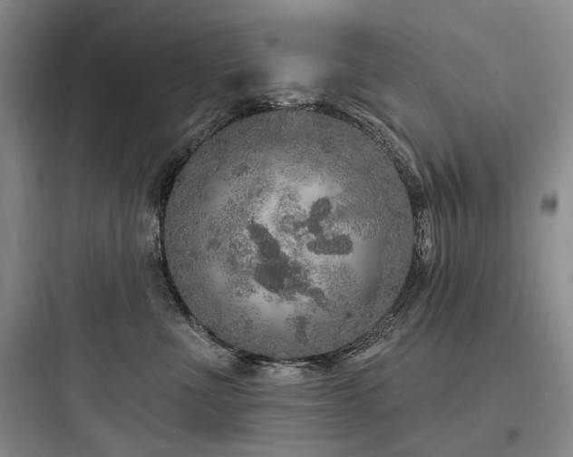 X0000097990523200803241344