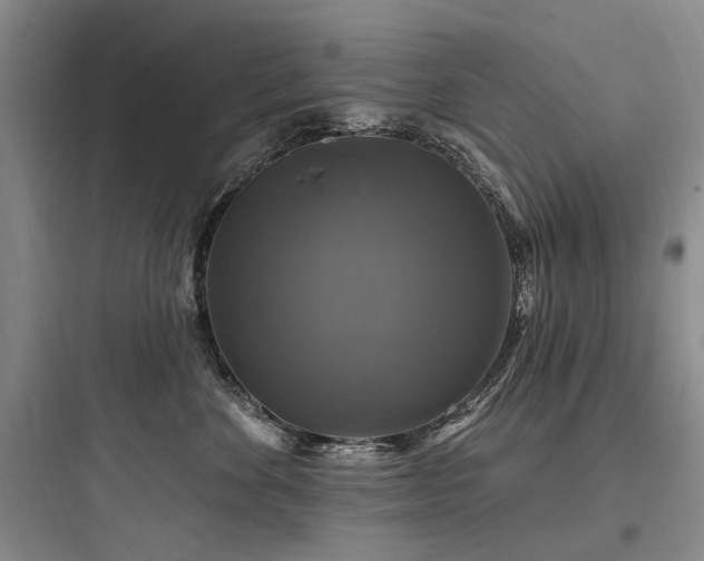 X0000097990524200803241344
