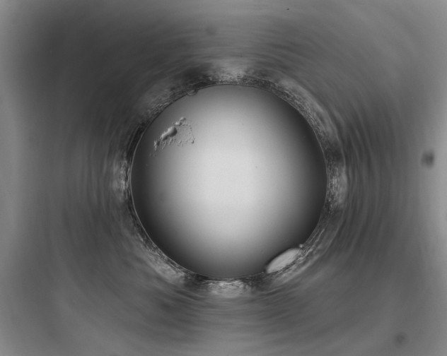 X0000097990525200803241344