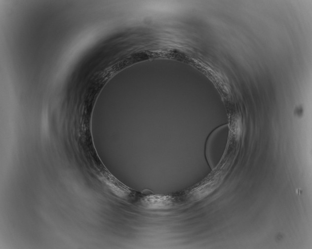 X0000097990526200803241344