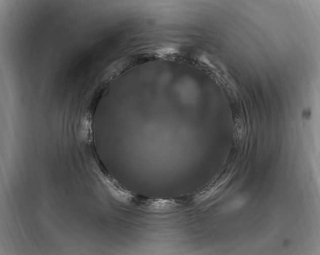 X0000097990527200803241344