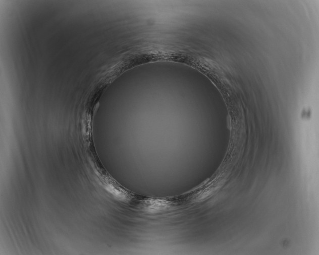 X0000097990528200803241344