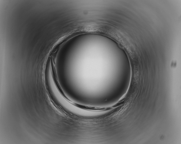 X0000097990530200803241343