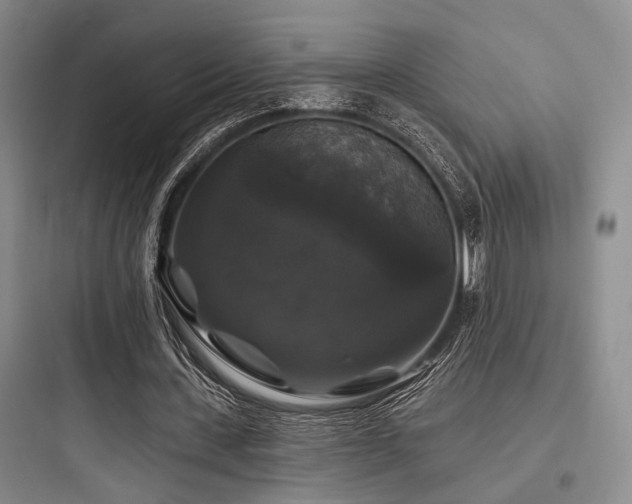 X0000097990531200803241343