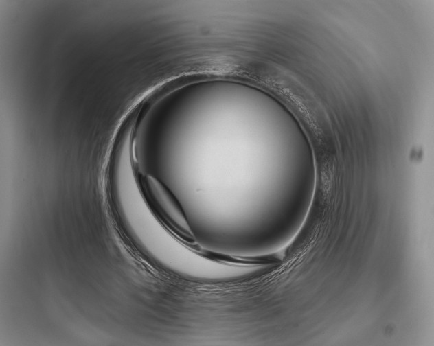 X0000097990532200803241343