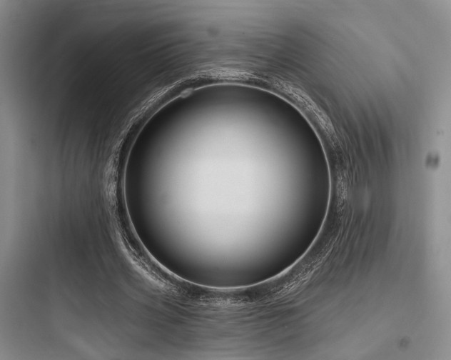 X0000097990533200803241343