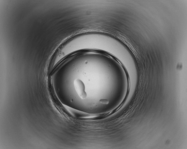 X0000097990534200803241343