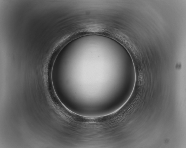 X0000097990535200803241343
