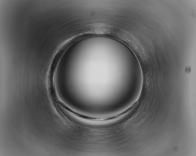 X0000097990536200803241343