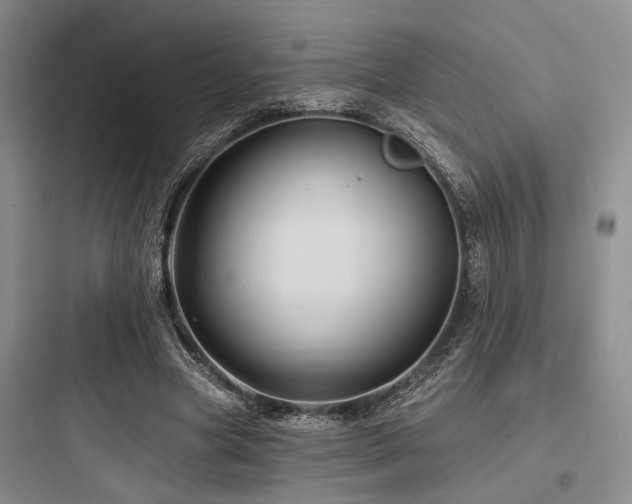 X0000097990537200803241343