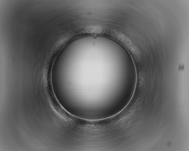 X0000097990538200803241343