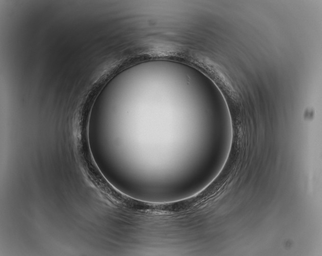 X0000097990539200803241343