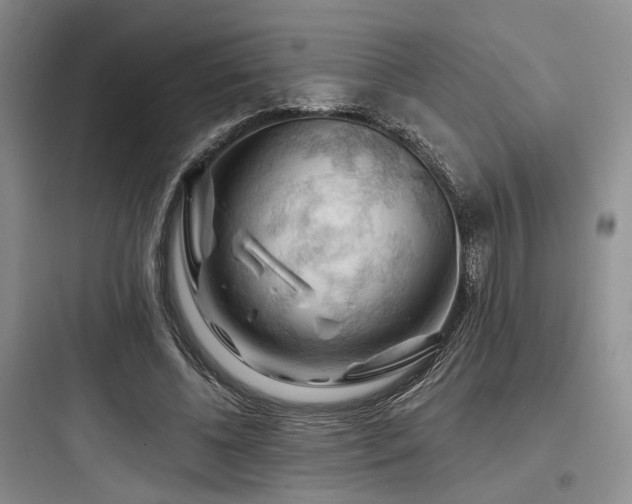 X0000097990540200803241343