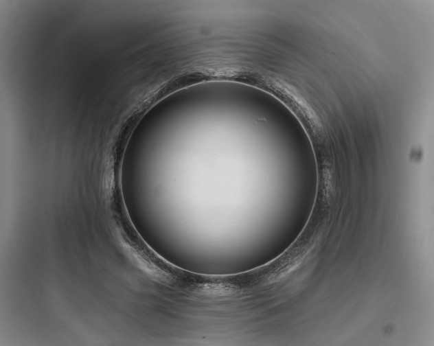X0000097990541200803241343