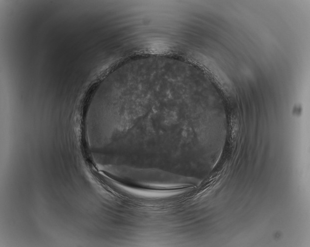 X0000097990542200803241343